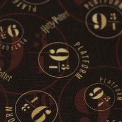 Lizenz Canvas Harry Potter