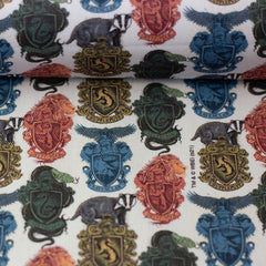 Lizenz Canvas Harry Potter