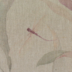 Canvas Christel
