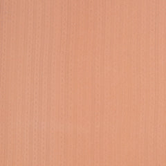 Baumwolljersey mit Lochstickerei Alina