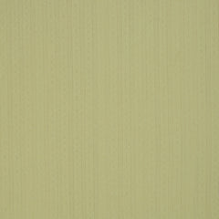 Baumwolljersey mit Lochstickerei Alina