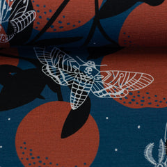 Modal French Terry Night by Käselotti