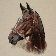 Gobelin Kissenpanel Pillows