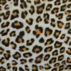 Regenjackenstoff Regensburg Prints