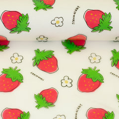 Regenjackenstoff Regensburg Prints