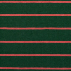 Baumwolljersey Isa Streifen - 563 grün