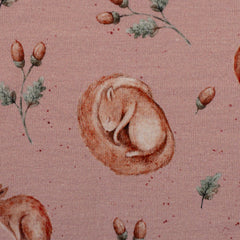 Baumwolljersey Life in the Forest by Christiane Zielinski - Eichhörnchen - 432 altrosa