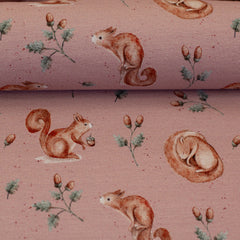 Baumwolljersey Life in the Forest by Christiane Zielinski - Eichhörnchen - 432 altrosa