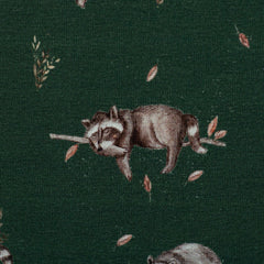 Baumwolljersey Life in the Forest by Christiane Zielinski - Waschbären - 564 grün