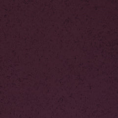 French Terry Stay Curious by Thorsten Berger - Kombi 2