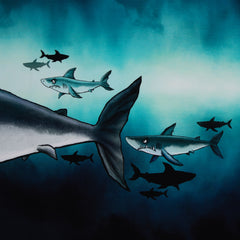 Panel French Terry Shark Tank by Thorsten Berger