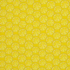 Baumwolljersey Melody Früchte