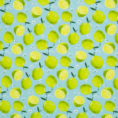 Baumwolljersey Melody Früchte