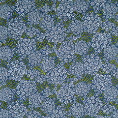 Baumwoll Popeline Jorid Design 2