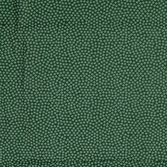 Baumwoll Cretonne Rachelle grün