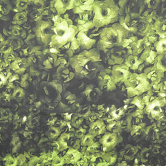 Polyester Satin Flower Dreams