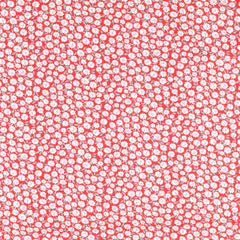 Baumwoll Popeline Streublümchen - rot