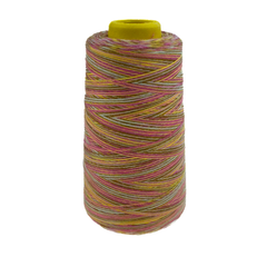 4 Konen Overlock Garn Multicolor