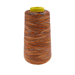 4 Konen Overlock Garn Multicolor