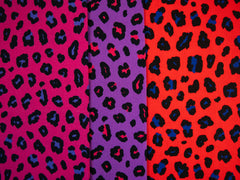 Canvas Abby Leo Print
