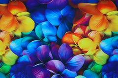 Alpenfleece Digital Rainbow Flowers