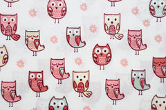Baumwoll Popeline Little Ones Owls