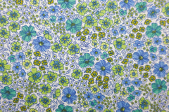 Baumwollstoff Blumenwiese - blau/grün