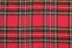 Baumwoll Check Finn by Qjutie