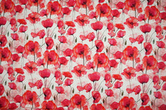 Baumwolljersey Digital Mohnblumen Fräulein von Julie
