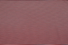 Baumwolljersey Parade Streifen - rot/dunkelblau/weiß