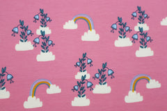 Baumwolljersey Rosie Rainbow himbeer 463404