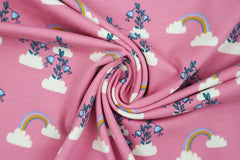 Baumwolljersey Rosie Rainbow himbeer 463404
