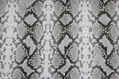 Baumwolljersey Schlangen - Look