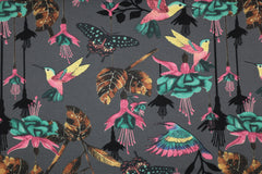 Baumwolljersey Kolibri