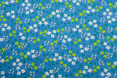 Baumwolljersey Sommerblümchen