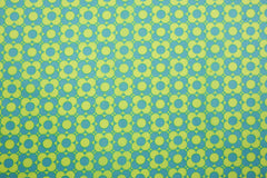 Beschichtete Baumwolle Lara Blümchen