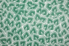 Beschichtete Baumwolle Shelton