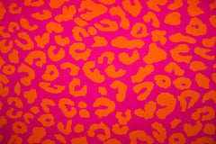 Canvas Crazy Leo