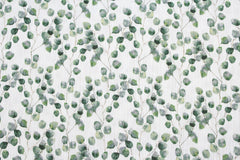 Double Gauze Musselin Eukalyptus Fräulein von Julie 2834