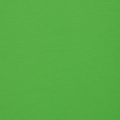 Baumwolljersey Fabrizia