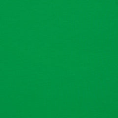 Baumwolljersey Fabrizia