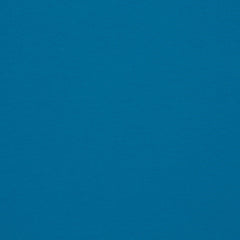 Baumwolljersey Fabrizia