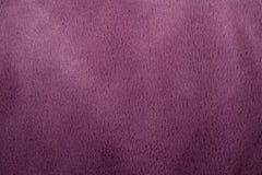 Fellimitat Castorini by Qjutie