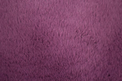 Fellimitat Castorini by Qjutie