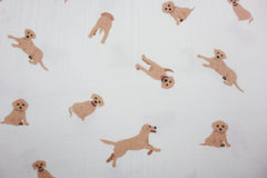 Flanell Golden Retriever Puppys by Qjutie