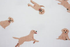 Flanell Golden Retriever Puppys by Qjutie