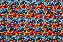 French Terry Digital Burning Monster Trucks