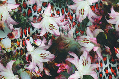 French Terry Digital Leo Lily