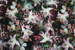 French Terry Digital Leo Lily