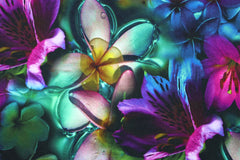 French Terry Digital Tropical Flower